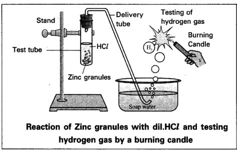 Write an activity to show the reaction of acids with metals - CBSE Class 10 Science - Learn CBSE ...