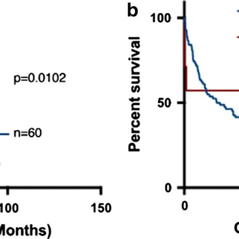 Survival Analysis Of Aml Patients Associated With Vim Expression After