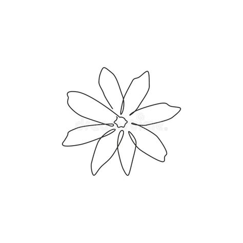 Single Continuous Line Drawing Of Beauty Fresh Evergreen Jasmine Flower