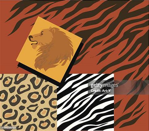 177 Lion Fur Texture Stock Photos High Res Pictures And Images