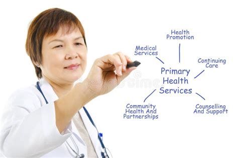 Health Services Stock Image Image Of Diagram Expertise 24944521