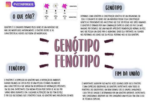 O Que É Um Genotipo - Qual a diferença entre genótipo e fenótipo? - brainly.com.br
