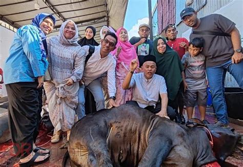 Semarak Idul Adha Yayasan Ash Shofa Qurban Ekor Lembu