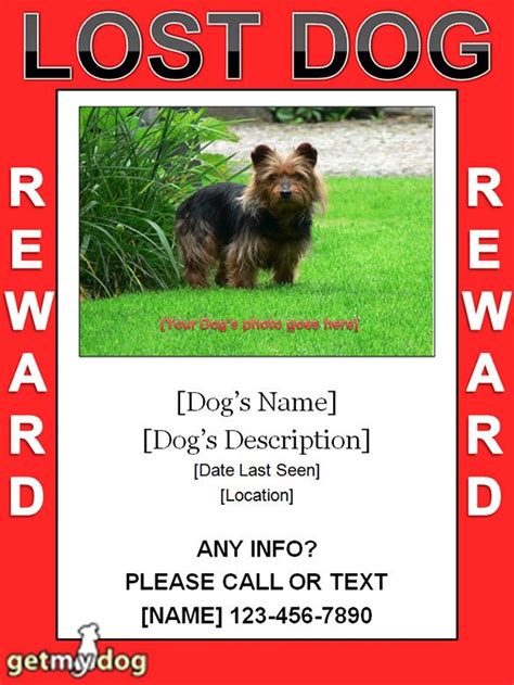 Lost Dog Flyer Template Word - Card Template