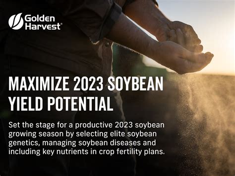 2023 Soybean Variety Performance Results Golden Harvest Golden Harvest