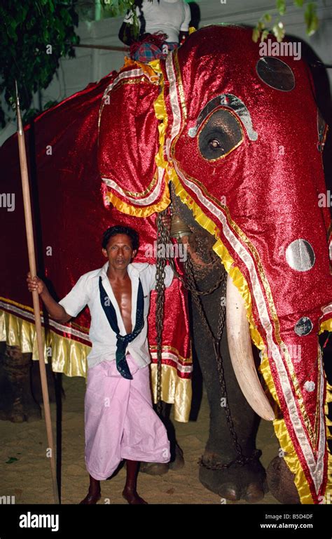 Perahera festival Fotos und Bildmaterial in hoher Auflösung Alamy