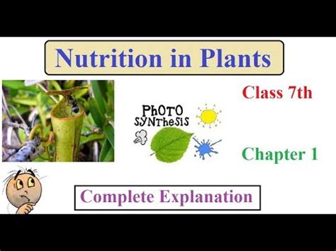 Nutrition In Plants Chapter Class Th Complete Explanation Youtube