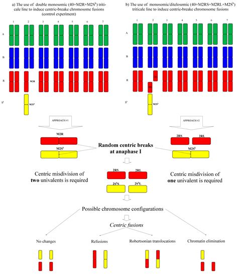 Robertsonian Mapping Allele With Resolved Carrier Status Of