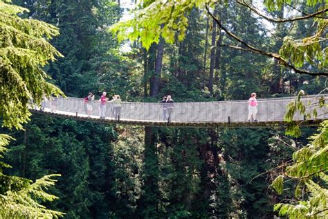 View of Capilano Suspension Bridge Park in North Vancouver at Winter ...