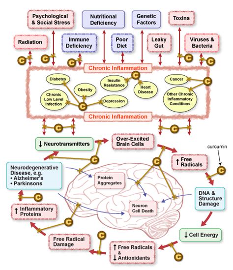 Effects Of Turmeric Compounds In Parkinson S Disease