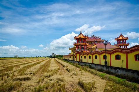 Temple Beside Harvested Paddy Field Sekinchan Malaysia Stock Photo