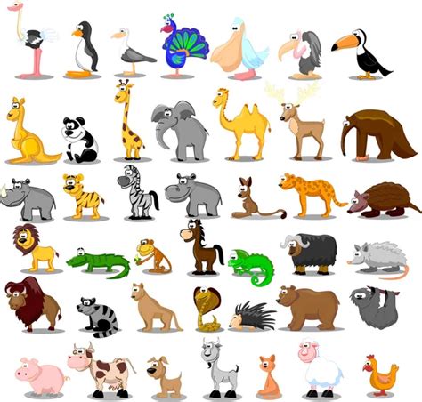 Jungle Animals - img-lard