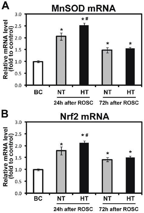 Effects Of Mild Hypothermia On Nrf2 And MnSOD MRNA Expressions In The