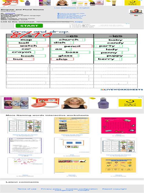 Singular And Plural Nouns Interactive Worksheet For 4 Pdf Worksheet