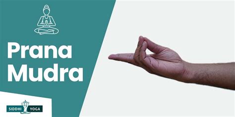 Prana Mudra Significado Beneficios Y C Mo Hacerlo Siddhi Yoga