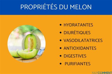 Melon Propri T S Et Bienfaits D Licieux Fruits De Saison