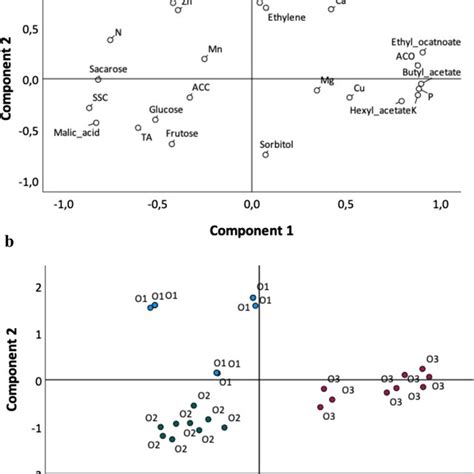 Principal Component Analysis Biplot A Variables Loadings Distribution