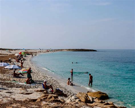 Oristano Auf Sardinien Top Sehensw Rdigkeiten Tipps