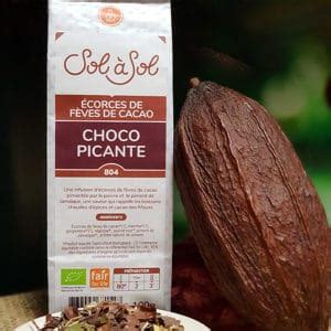 Infusion Choco Picante Bio 100gr SALDAC Suisse Sarl