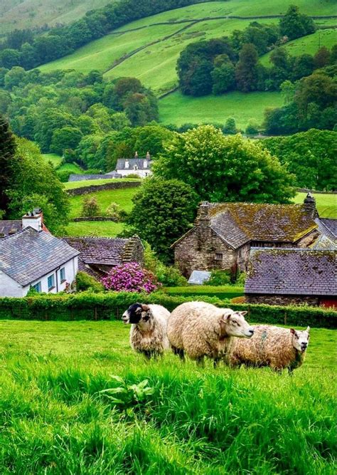 Pin By Morning Glory Meadow On Country Life England