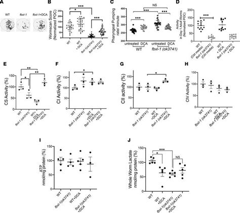 Jci Insight Dichloroacetate Improves Mitochondrial Function