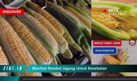 Manfaat Rambut Jagung Untuk Kesehatan