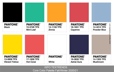 Grey Colour Pantone 70 Photo