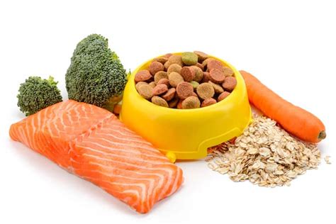 The Best Salmon Flavor Dry Dog Foods in 2021