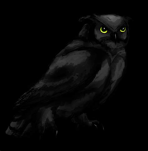 Black Owl by Feralkyn on DeviantArt