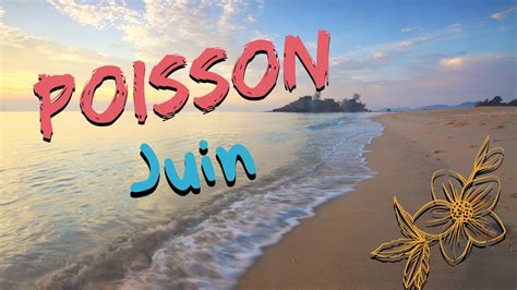 Poisson Juin Le Retour De Votre Grain De Folie Youtube