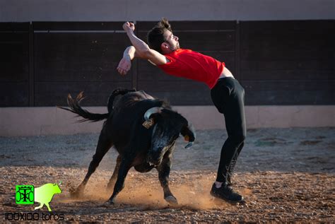 X Toros Capea En Finca Bellalucia