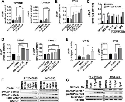 Pde A Inhibition In Ovarian Cancer Induces Cyclic Nucleotide