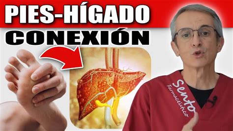 Qu Dicen Tus Pies Sobre Tus Problemas De H Gado Youtube