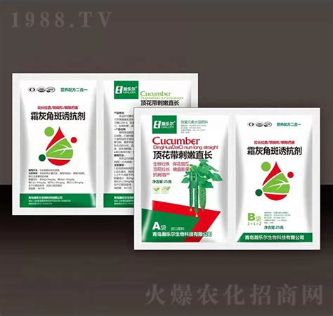 顶花带刺嫩直长霜灰角斑诱抗剂 瀚乐尔（图文信息展示）青岛瀚乐尔生物科技有限公司 火爆农化招商网【1988tv】