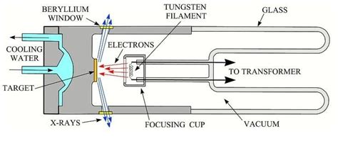 5 Schematic Diagram Of Production Of X Ray Beams Download Scientific