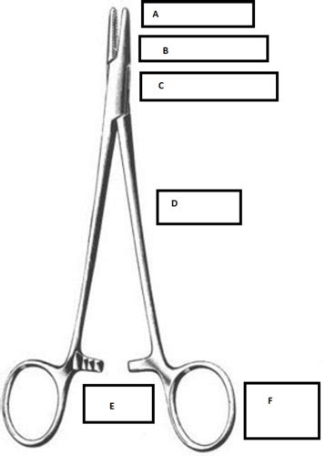 Surgical Instrument Identification And Care Flashcards Quizlet