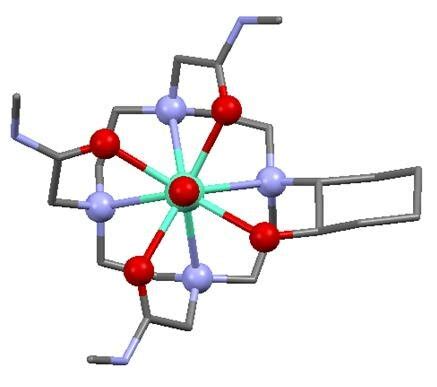 9. The triflate counterions also forms part of the unit cell ...