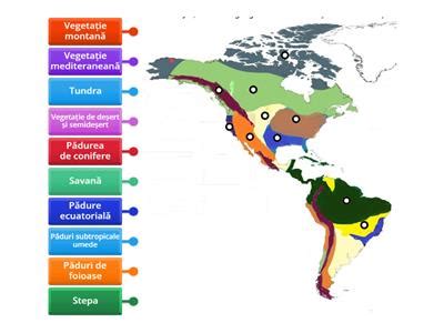 Zonele Biogeografice Ale Europei Europei Resurse Didactice