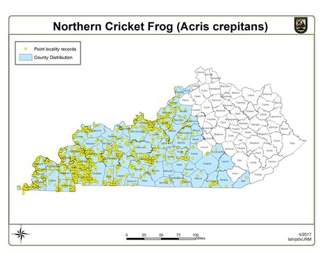 Northern Cricket Frog - Kentucky Department of Fish & Wildlife