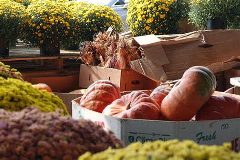 The Ultimate Guide To Nashvilles Farmers Markets This Fall The