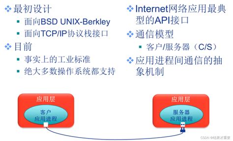 Socket编程 应用编程接口（api） 套接字（及其函数介绍）socket Api Csdn博客