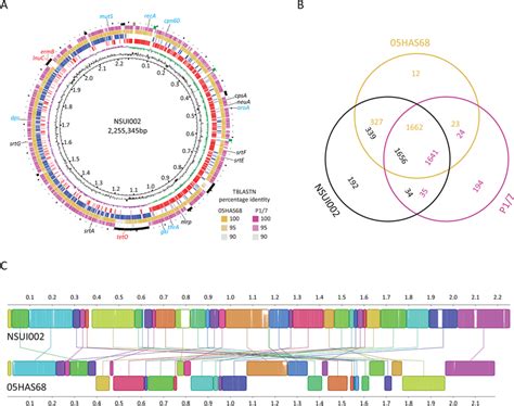 A Genome Atlas Of Canadian S Suis ST28 Strain NSUI002 Depicted Data