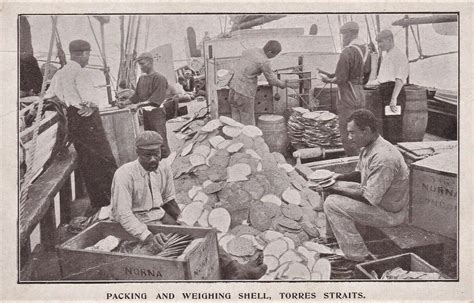 Packing And Weighing Pearl Shells In The Torres Straits Q Flickr