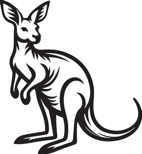 Black silhouettes of kangaroo vector illustration on a white background ...