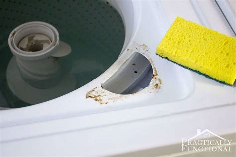 How To Clean A Top Loading Washing Machine With Vinegar And Bleach!