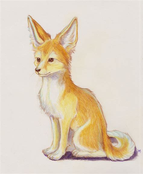 Fennec Fox Drawing at GetDrawings | Free download