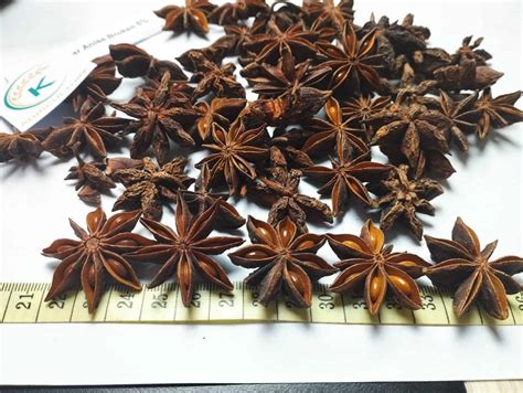 Autumn Star Anise K Agriculture Bring The Best Vietnamese