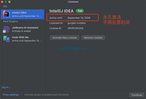 IntelliJ IDEA 2024 1 激活码 最新破解教程 破解工具 图文破解教程支持Mac Linux亲测 ide激活网