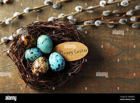 Bird Eggs In Nest And Pussy Willow Flowers Branches On Wooden
