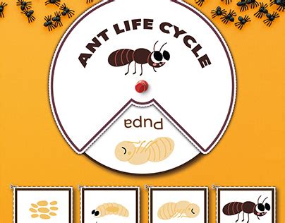 life cycle children projects   logos illustrations